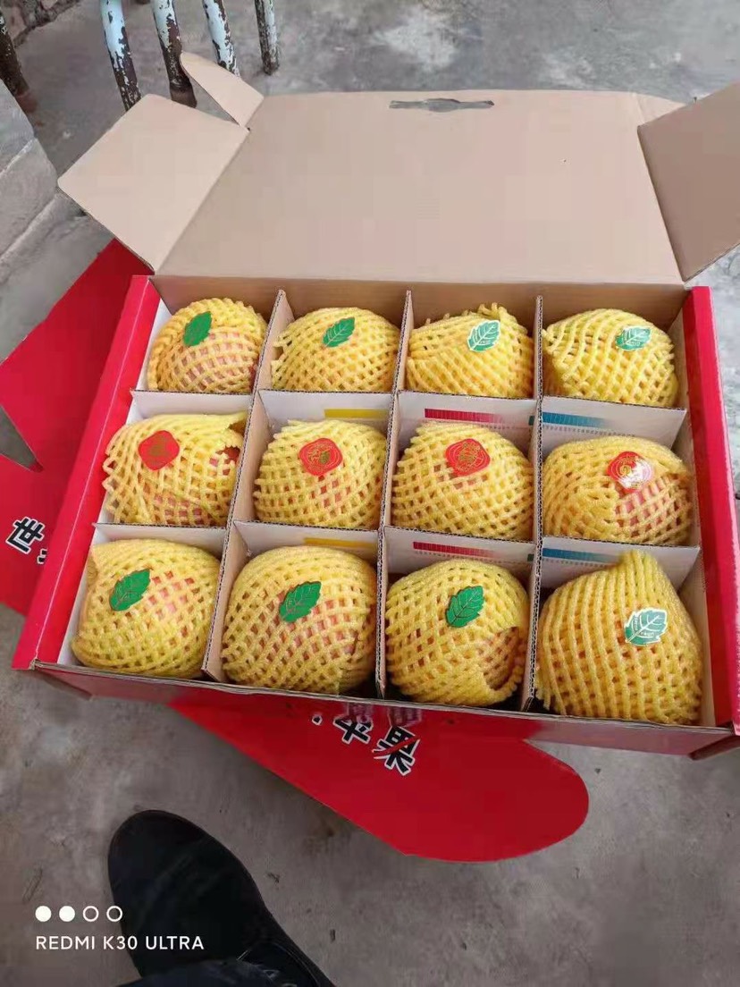 红富士苹果 洛川苹果