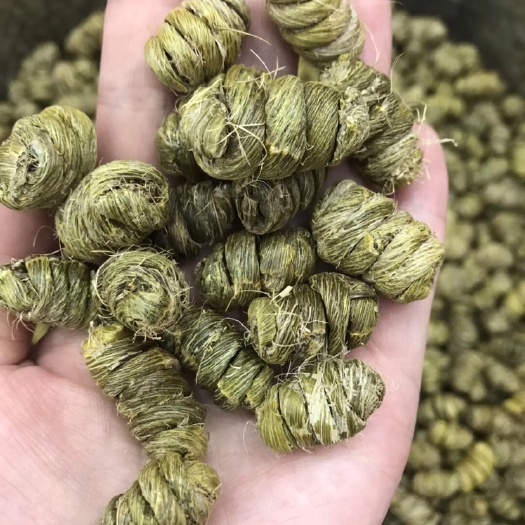 广州 铁皮石斛枫斗铁皮石斛条