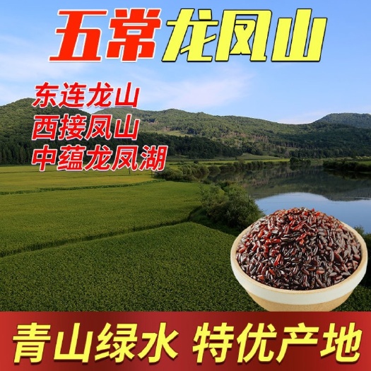 哈尔滨【五常龙风山血糯米】优质新米黑香糯米黏糯增香补充花青素精品包