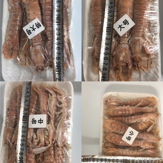 湛江熟冻皮皮虾赖尿虾 电商爆款 大排档 自助餐专用 量大从优