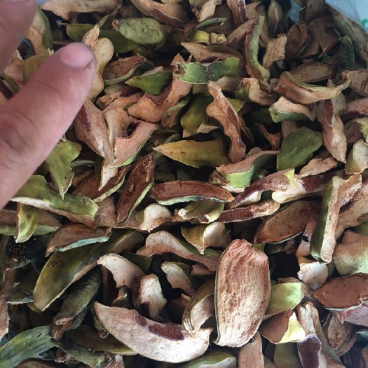 薜荔12元，凉粉果壳，木馒头
