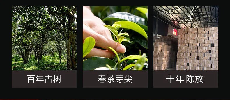 碎银子茶化石普洱茶糯香熟茶大颗粒小颗粒普洱茶叶  紫砂罐礼盒