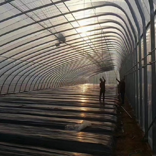 天津全国发货。各种大棚。大棚配件。各类钢结构现货。有需要随时联系