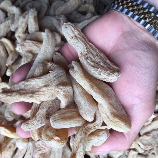 彝良县黄天麻 小草坝天麻干品