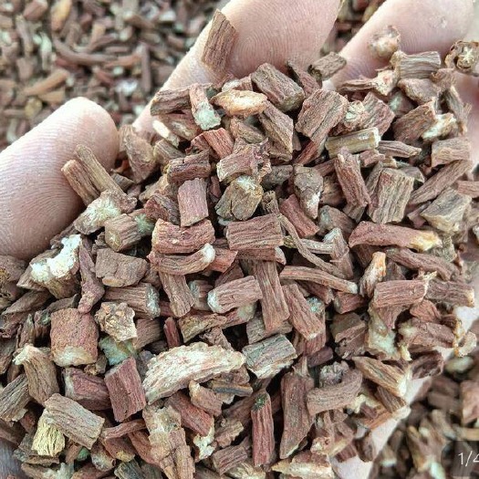 潍坊紫花丹参 丹参 统货 含量高