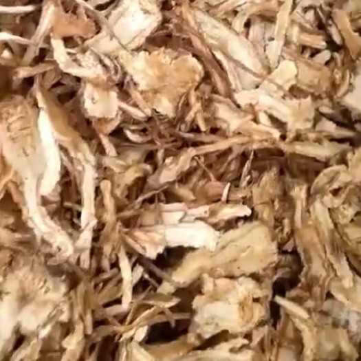 潍坊岷当归 当归 统货 产地直销 通货