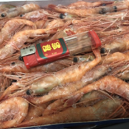 北极虾  北极甜虾
