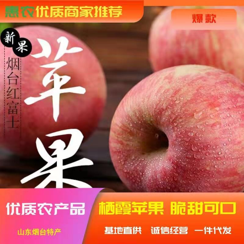 【一件代发】山东烟台红富士苹果 新鲜水果 脆甜多汁栖霞