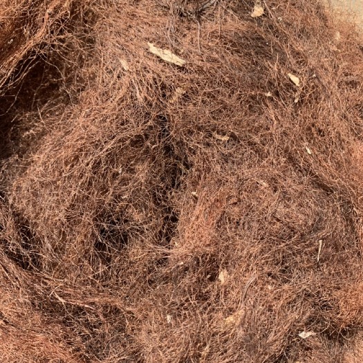 罗平县 玉米须统货。大量现货。需要的联系，