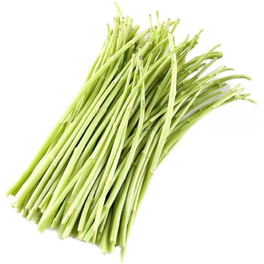 沭阳县 现摘现发当季新鲜芦蒿去根去叶鲜嫩黎藜蒿泥茼蒿蔬菜野菜蒌蒿