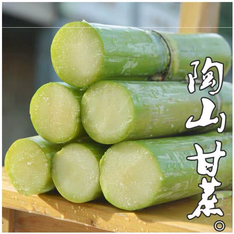 整车物流一件代发陶山甘蔗陶山果蔗自产自销青皮甘蔗陶山甘蔗