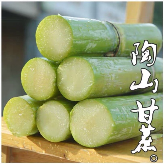 整车物流一件代发陶山甘蔗陶山果蔗自产自销青皮甘蔗陶山甘蔗