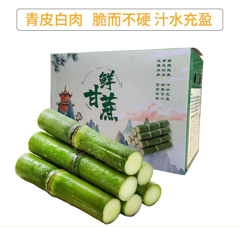 整车物流一件代发陶山甘蔗陶山果蔗自产自销青皮甘蔗陶山甘蔗