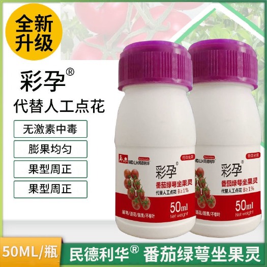 寿光市流体硼  西红柿番茄圣女果喷花药授粉坐果代替人工点花喷花药坐果率高