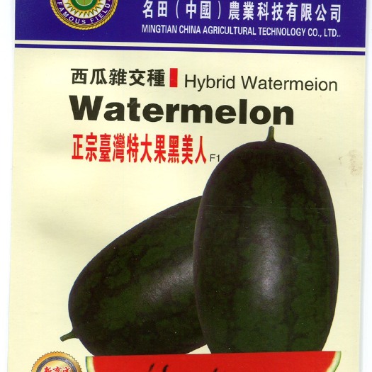 黑美人西瓜种子，甜度高，果型好看，果个大，早熟