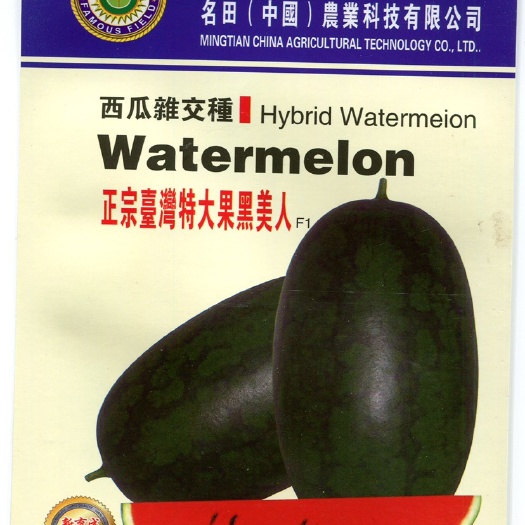 昆明黑美人西瓜种子，甜度高，果型好看，果个大，早熟