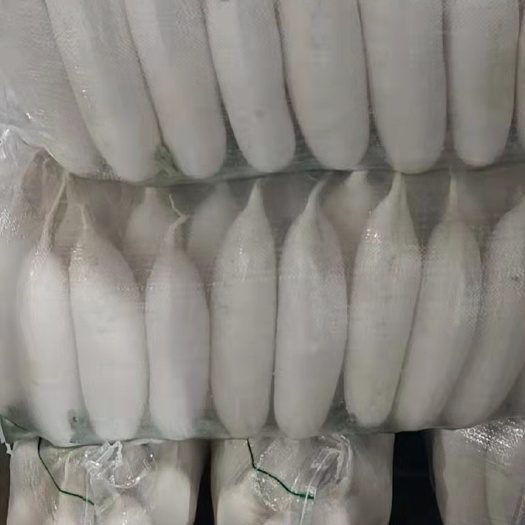 钟祥市湖北高山精品白萝卜