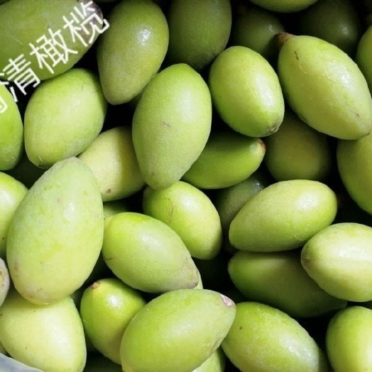 闽清县 闽清自产橄榄
