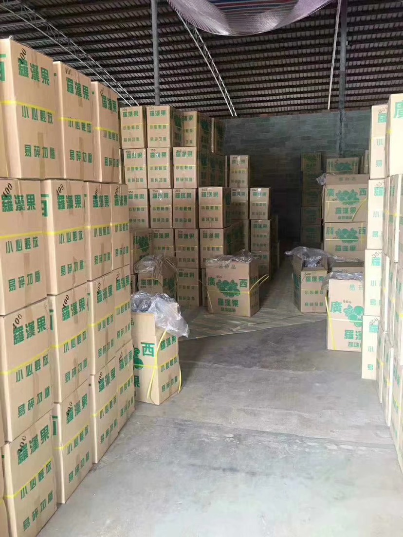 大中小脱水罗汉果桂林特产产地直销