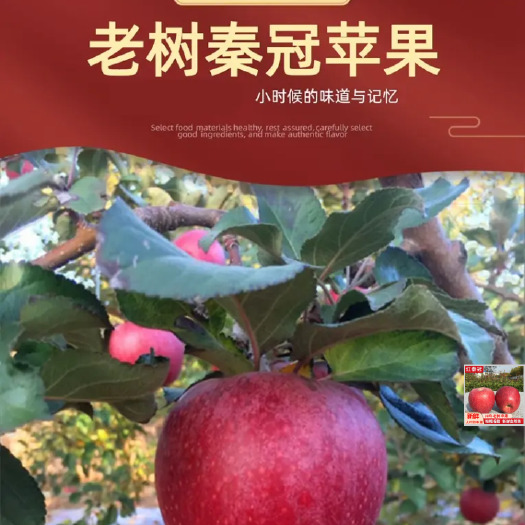长武县 秦冠苹果