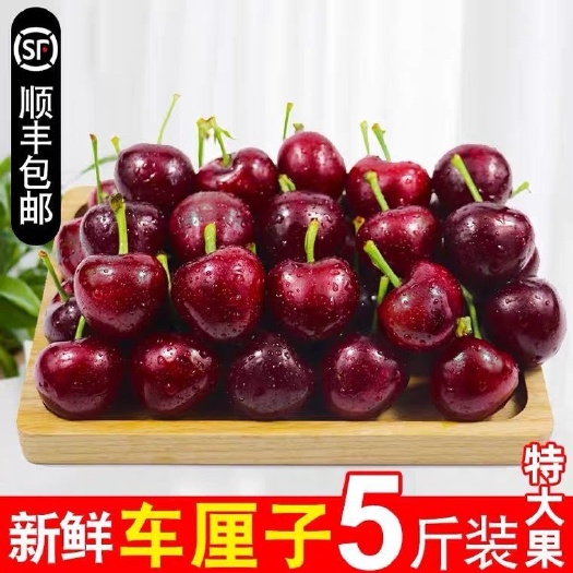 广州樱桃  【一件代发】顺丰空运智利车厘子2021.脆甜 口感好 欢迎咨