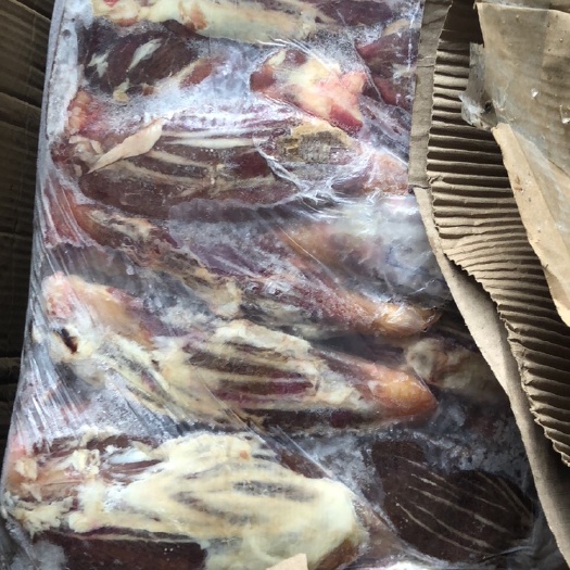 厦门黄牛 排键