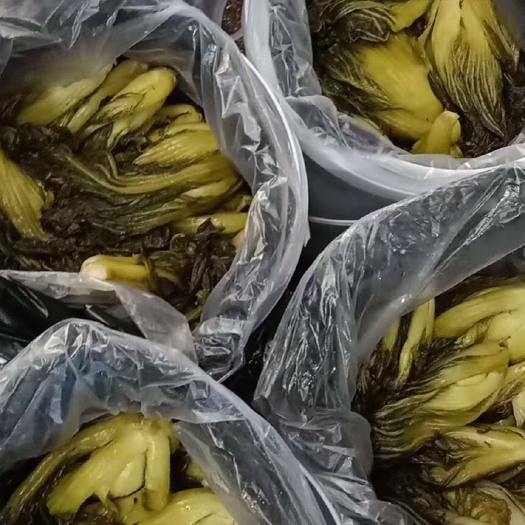 汕头 酸菜