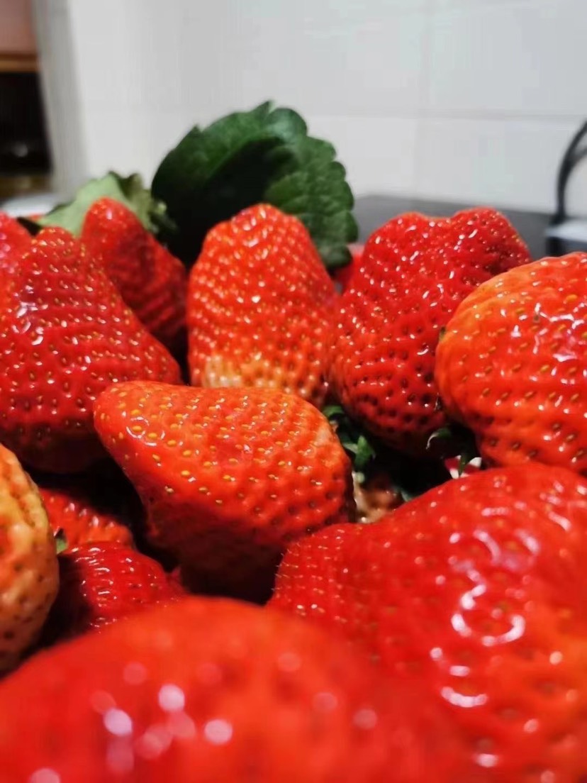  大凉山草莓有要开始了