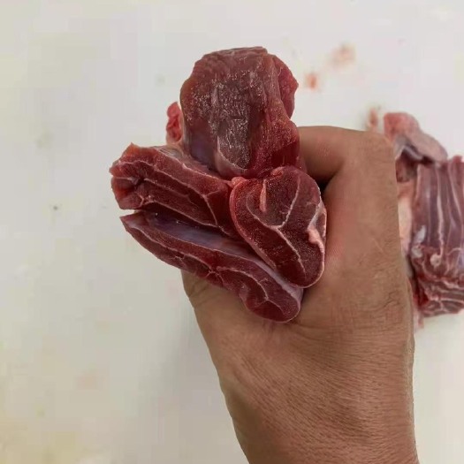 河间市肉牛  纯干 牛腱子 头