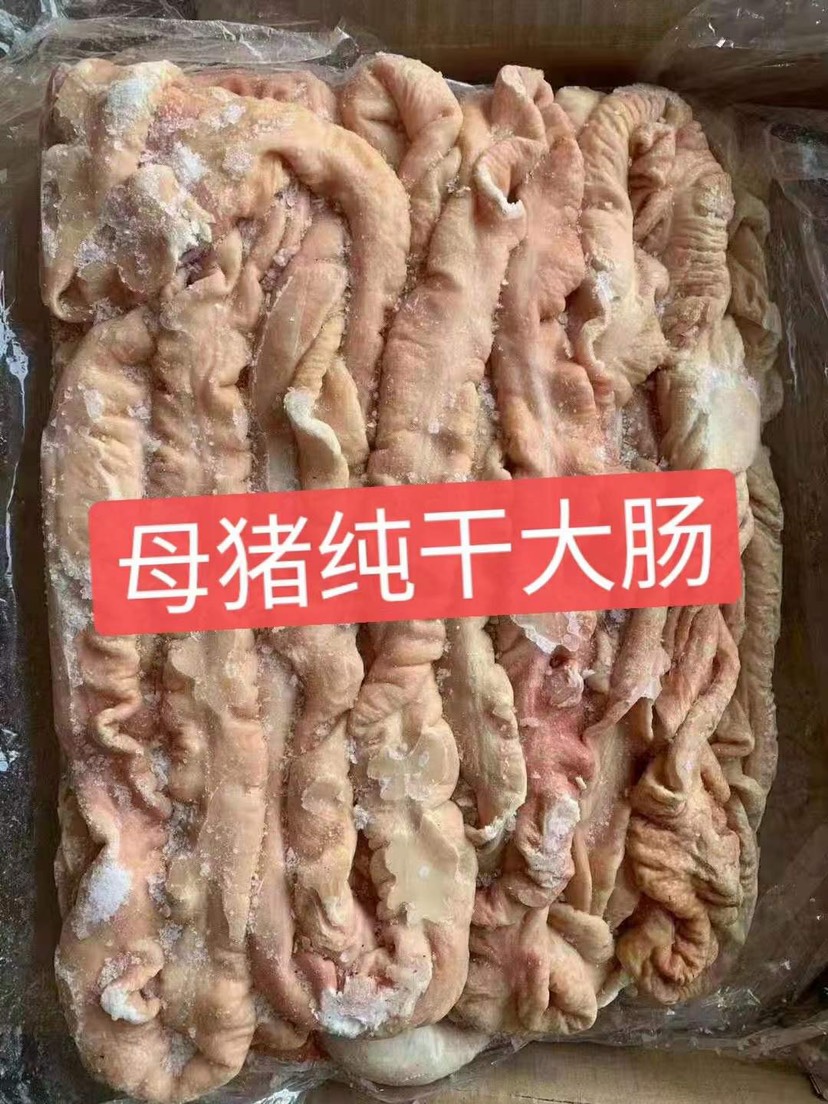 猪肠 肥猪大肠