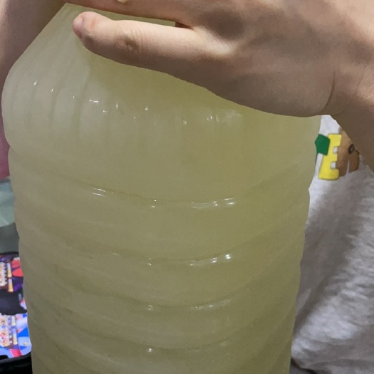 上海 崇明正宗自酿米酒