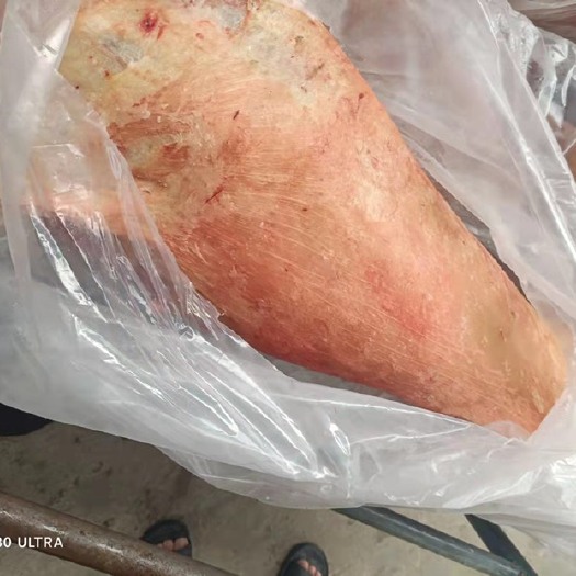 阳信县羊肉  绵羊酮体