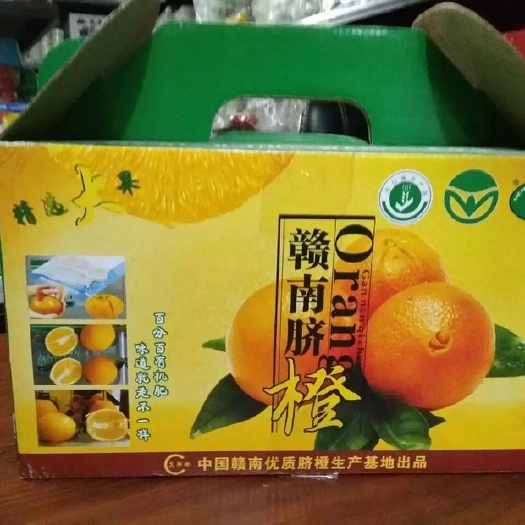 龙门县 脐橙