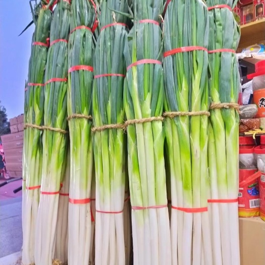 济南长白大葱 章丘铁锅大葱
