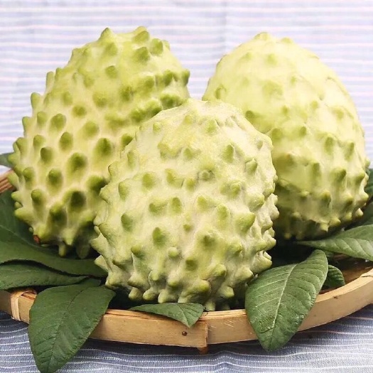 昆明牛奶凤梨释迦果番荔枝新鲜当季热带水果【软糯香甜/入口即化】