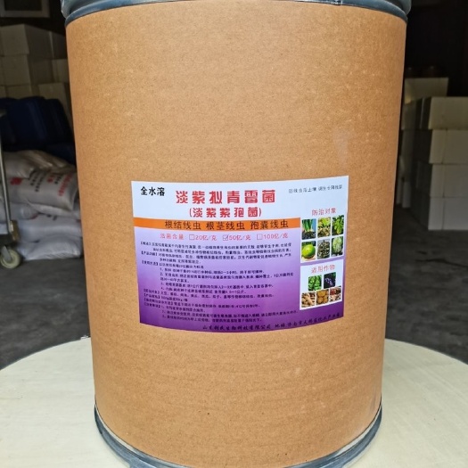 郑州淡紫拟青霉微生物菌肥淡紫孢菌防线虫杀虫卵壮苗水溶微生物菌剂