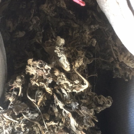大悟县 艾叶统货