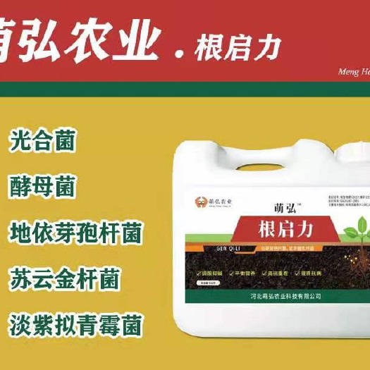 石家庄菌肥 根启力 菌剂