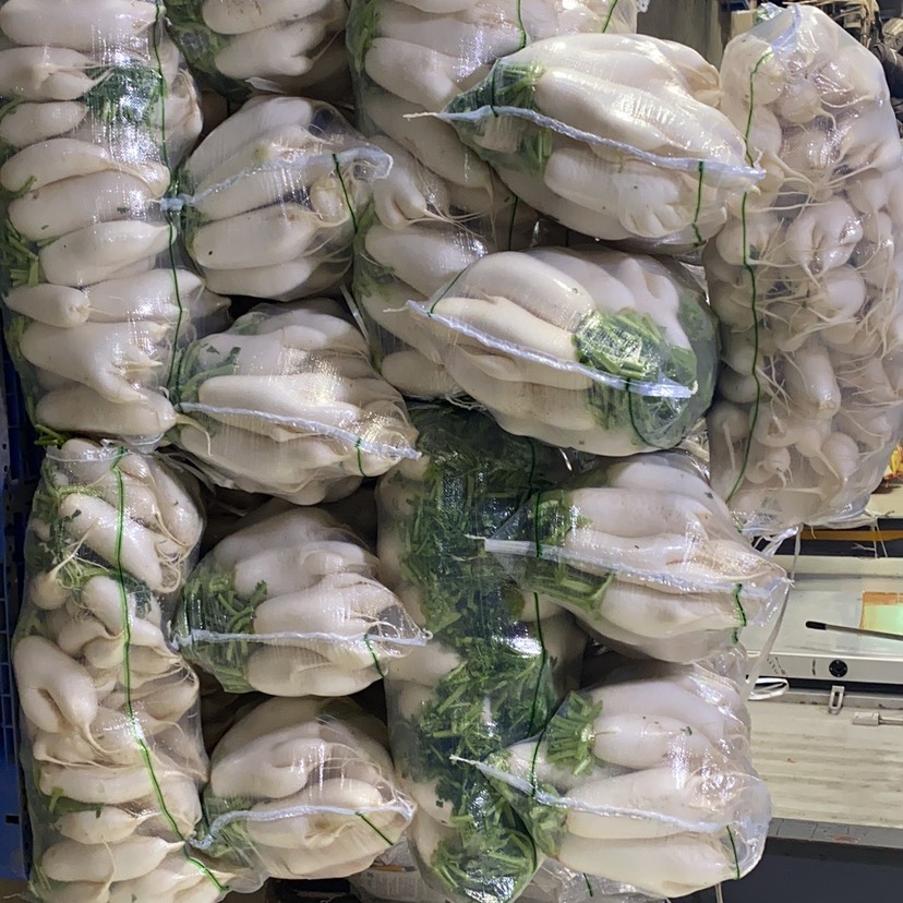 白萝卜  次品萝卜，加工厂食堂养殖大量批发