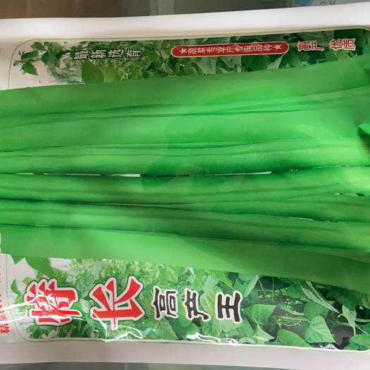 通海县四季豆种子 特长高产王 优质四季豆 产量高 表现好