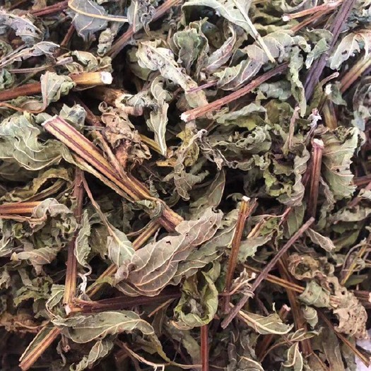 阳山县溪黄草苦的