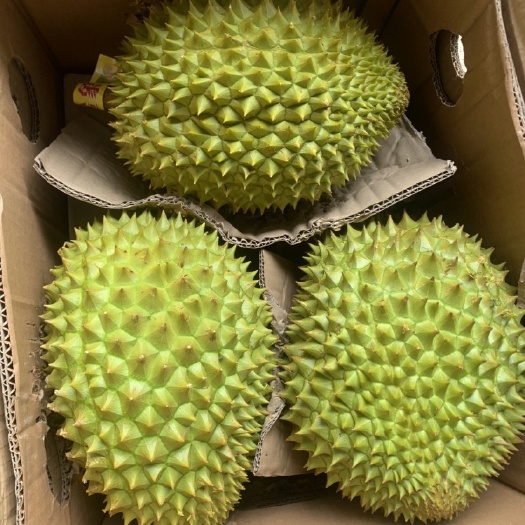 南宁一级干尧榴莲