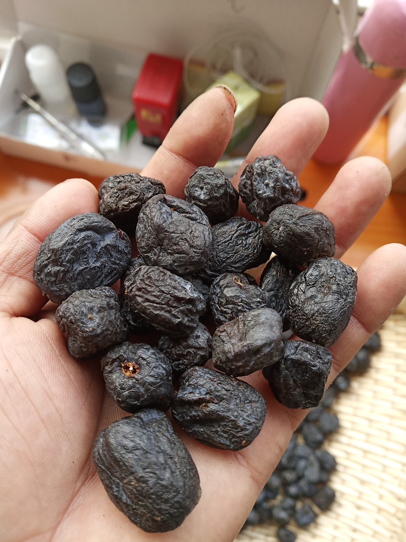 涉县河北涉县无核黑枣有核黑枣产地发货电商批发商供应
