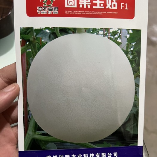 莘县玉菇甜瓜种子  圆果玉菇种子 高产量 高品质 高收益 只为增产而来