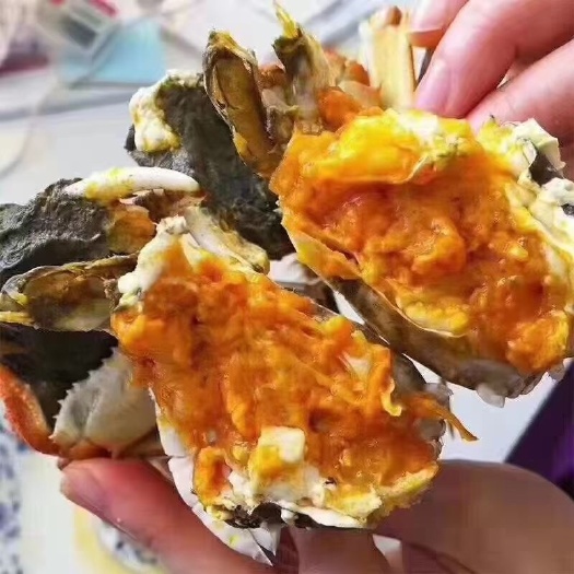 大闸蟹  肉质鲜美；膏肥黄满，产地直销