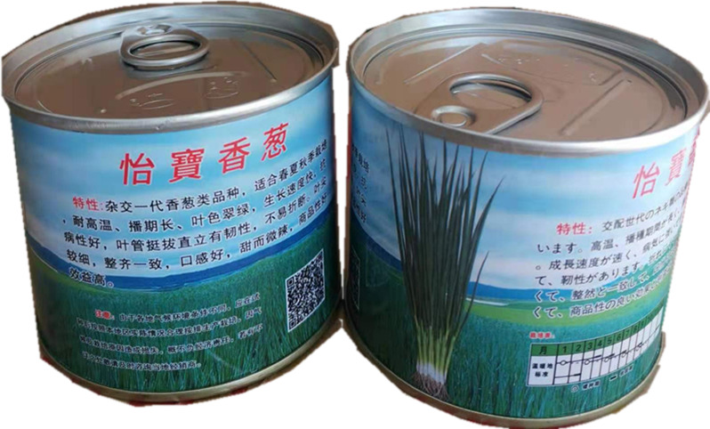 高密市小香葱种子  怡宝香葱种子