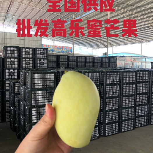 凭祥市高乐蜜芒果全国供应产地直供芒果一首货源批发60斤/件零担发货