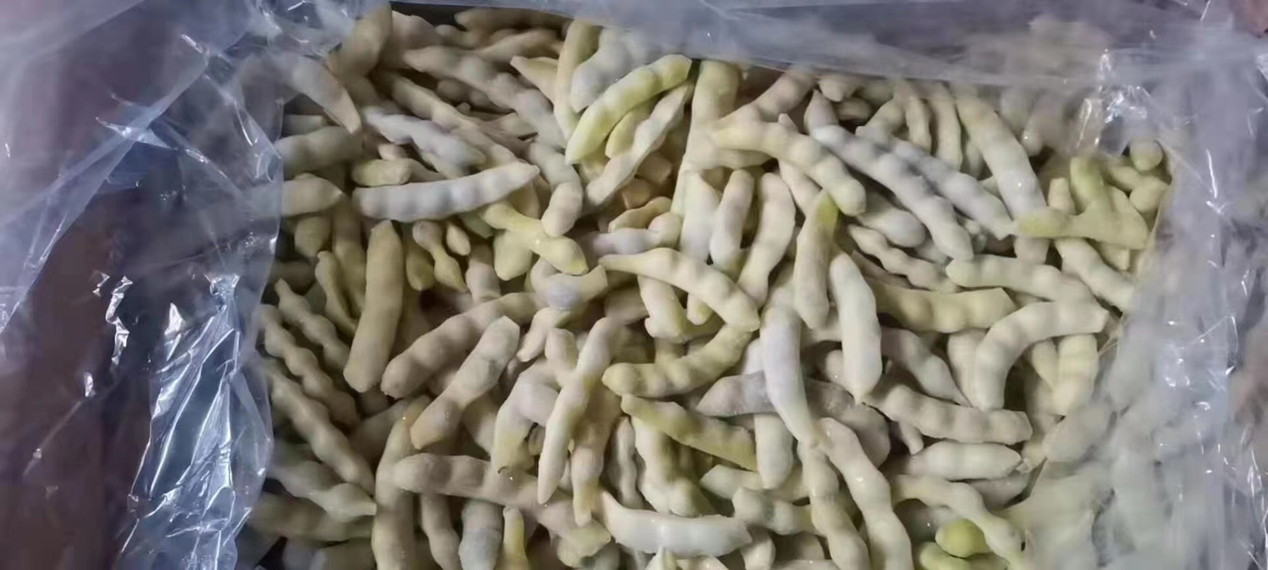青岛冻豆角 速冻黄金勾