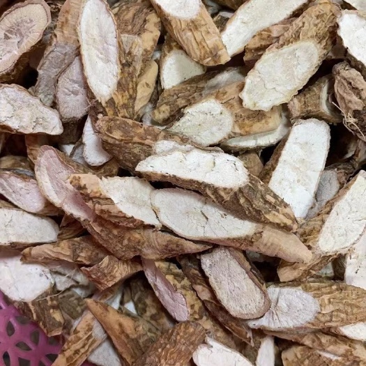 防墅生牛大力  产地直销  货源充足 香味十足