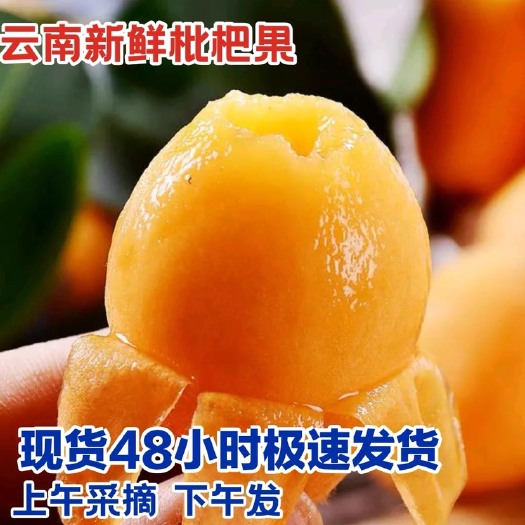 蒙自市大五星枇杷长虹解放中云南高山蒙自枇杷支持各大平台一件代发